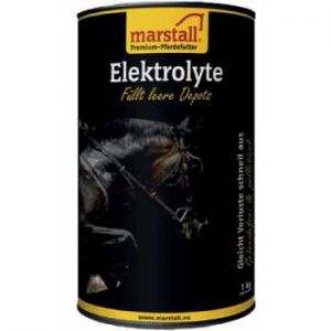 MARSTALL Elektrolyte, 1Kg